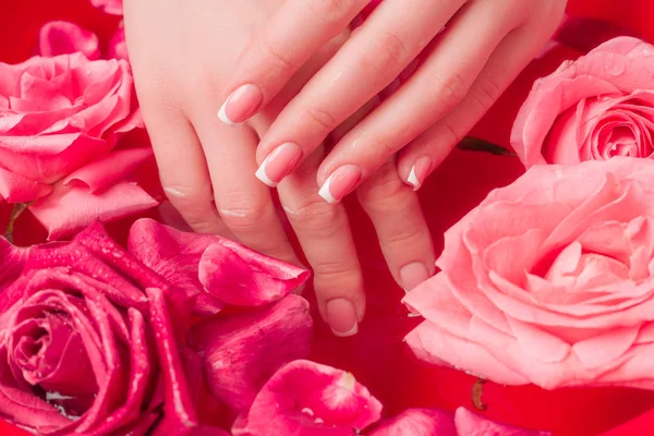 Spa Salonu: Pembe Güller ve Gül Yapraklı Su Kasesinde Fransız Manikürlü Güzel Kadın Elleri.