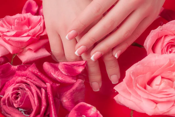 Spa Salonu: Pembe Güller ve Gül Yapraklı Su Kasesinde Fransız Manikürlü Güzel Kadın Elleri.