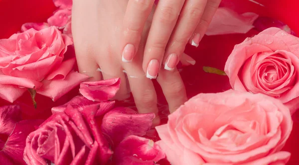 Spa Salonu: Pembe Güller ve Gül Yapraklı Su Kasesinde Fransız Manikürlü Güzel Kadın Elleri.