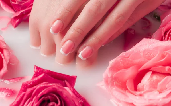Spa Salon Mooie Vrouwelijke Handen Met Franse Manicure Schaal Van — Stockfoto