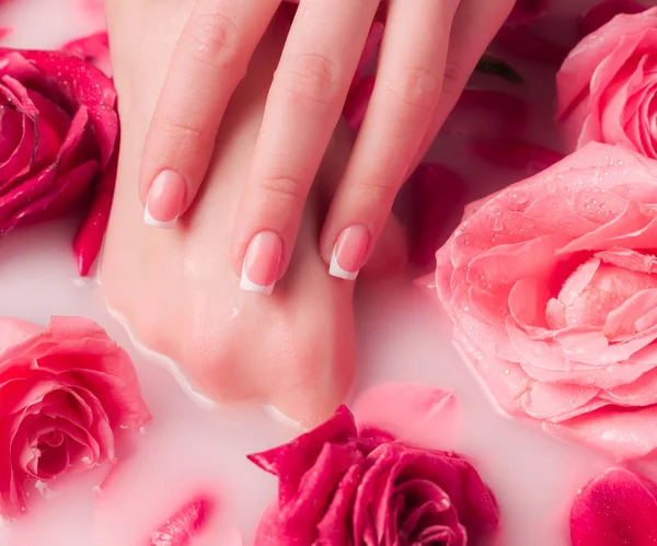 Wellness Salon Schöne Weibliche Hände Mit Französischer Maniküre Der Wasserschale — Stockfoto