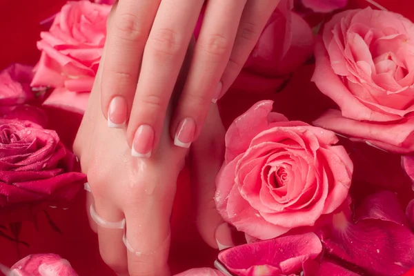 Spa Salonu: Pembe Güller ve Gül Yapraklı Su Kasesinde Fransız Manikürlü Güzel Kadın Elleri.