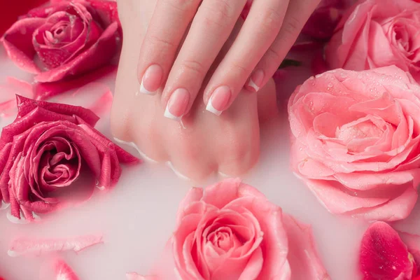 Spa Salonu: Pembe Güller ve Gül Yapraklı Su Kasesinde Fransız Manikürlü Güzel Kadın Elleri.