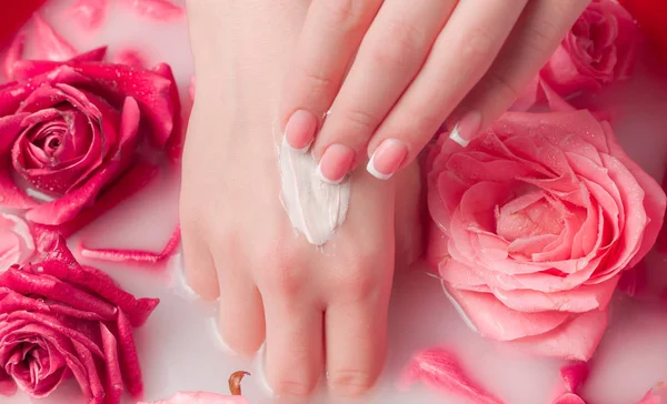 Spa Salonu: Pembe Güller ve Gül Yapraklı Su Kasesinde Fransız Manikürlü Güzel Kadın Elleri.