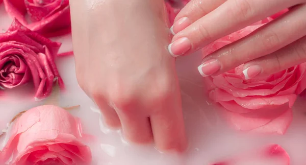 Salon Spa Piękne Żeńskie Ręce Francuskim Manicure Misce Wody Różowymi — Zdjęcie stockowe