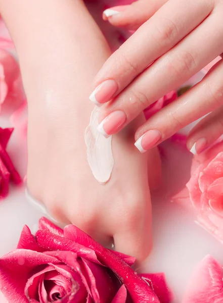 Spa Salonu: Pembe Güller ve Gül Yapraklı Su Kasesinde Fransız Manikürlü Güzel Kadın Elleri.