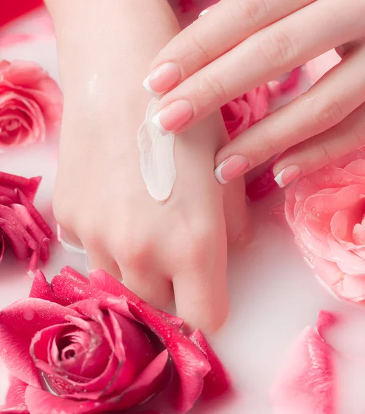 Spa Salonu: Pembe Güller ve Gül Yapraklı Su Kasesinde Fransız Manikürlü Güzel Kadın Elleri.