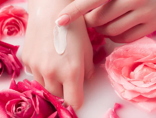 Spa Salonu: Pembe Güller ve Gül Yapraklı Su Kasesinde Fransız Manikürlü Güzel Kadın Elleri.