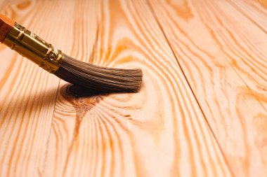 Yakın plan ahşap kaplama için fırça. Bir inşaat fırçasının stok fotoğrafı.