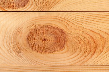 Düğümlü çam ağaçları. Stok fotoğrafı ahşap arkaplan dokusu.