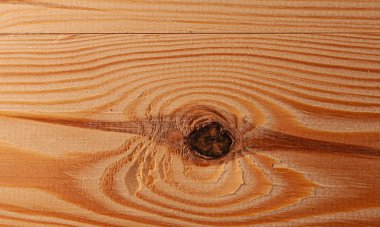 Düğümlü çam ağaçları. Stok fotoğrafı ahşap arkaplan dokusu.