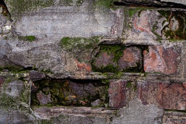 Arka planda yosun dokusu olan eski tuğla duvar. Eski çürük bir duvarın stok fotoğrafı..