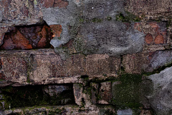 Old Brick Wall Covered Moss Texture Background Close Stock Photo — Stock Photo, Image