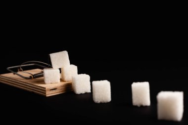 Fare kapanı ve şeker şeklinde bir yemin stok fotoğrafı. Şeker tüketimi hastalıkları kavramı.