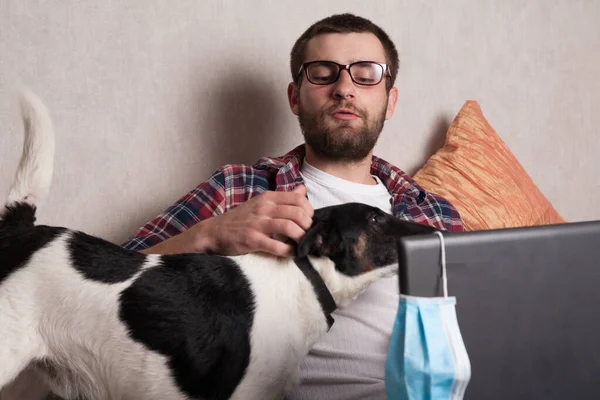 The guy works at home on freelance with his pet. The guy interacts with a dog on the couch with a medical mask.