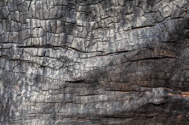 Kömür dokusu yakın. Macro ahşap yüzeyi yaktı. Siyah desenli kömür arkaplanı.