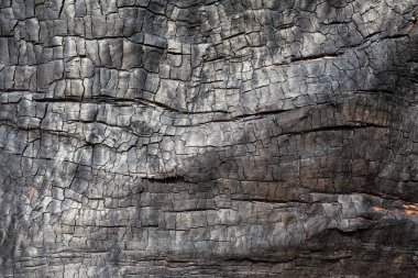 Kömür dokusu yakın. Macro ahşap yüzeyi yaktı. Siyah desenli kömür arkaplanı.