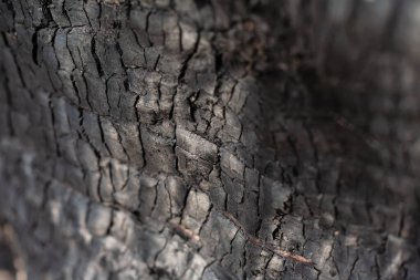 Kömür dokusu yakın. Macro ahşap yüzeyi yaktı. Siyah desenli kömür arkaplanı.