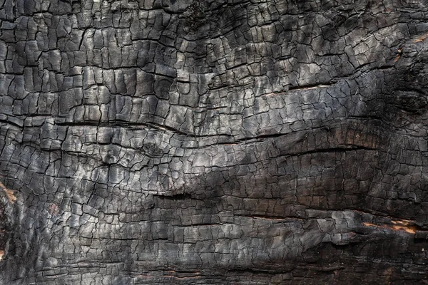 Kohlestruktur Hautnah Makroverbrannte Holzoberfläche Schwarz Strukturierte Kohle Hintergrund — Stockfoto