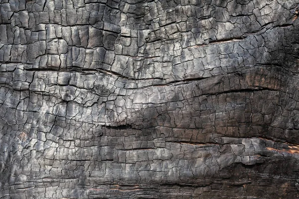 Textura Carbón Cerca Macro Quemó Superficie Madera Fondo Carbón Negro — Foto de Stock