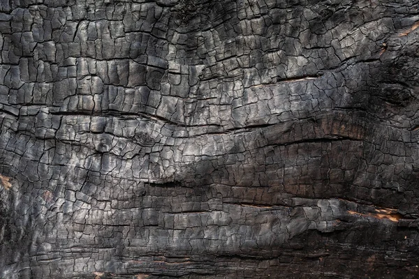 Textura Carbón Cerca Macro Quemó Superficie Madera Fondo Carbón Negro — Foto de Stock