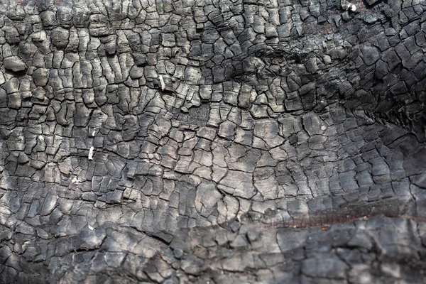 Textura Carvão Perto Macro Queimou Superfície Madeira Preto Texturizado Fundo — Fotografia de Stock