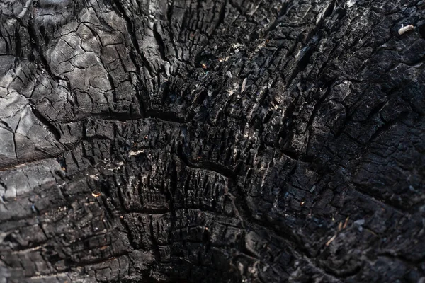 Kohlestruktur Hautnah Makroverbrannte Holzoberfläche Schwarz Strukturierte Kohle Hintergrund — Stockfoto