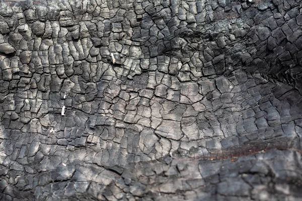 Textura Carbón Cerca Macro Quemó Superficie Madera Fondo Carbón Negro — Foto de Stock