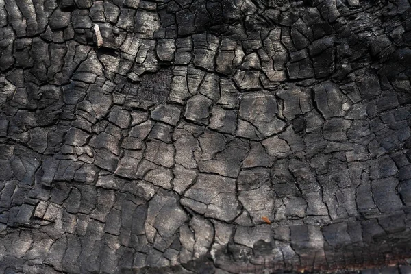 Στενή Υφή Άνθρακα Μακρο Έκαψε Την Επιφάνεια Ξύλου Μαύρο Ανάγλυφο — Φωτογραφία Αρχείου