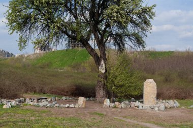 Zaporozhye, Ukrayna, 4 Nisan 2020. Tarasov armudu. Şair Taras Grigorievich Shevchenko 'nun ziyaret ettiği yer. Tarihi Anma Sitesi.