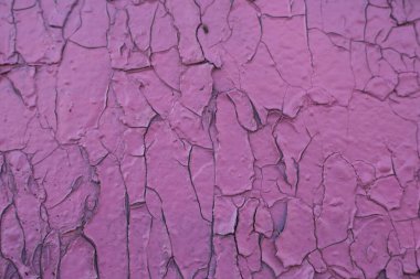 Eski boyanmış duvarın dokusu çatlaklar ve pürüzlerle kaplıdır. Çatlaklı eski bir boyanın stok fotoğrafı. Boya pembe..