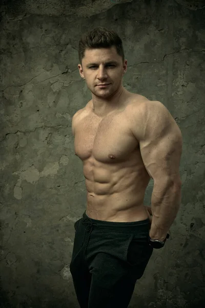 Hombre Musculoso Guapo Posando Sobre Fondo Pared Hormigón Concepto Fitness —  Fotos de Stock