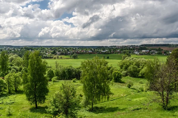 üstten görünüm köy ağaçları meadows