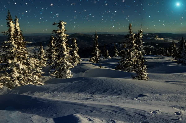 Spruce montanhas noite neve estrelas — Fotografia de Stock