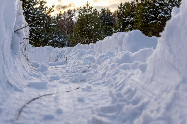 Nieve derrapes nieve bosque pistas invierno — Foto de Stock