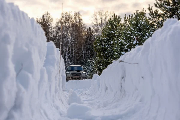 Schneeverwehungen Schnee Wald Spuren Winter — Stockfoto