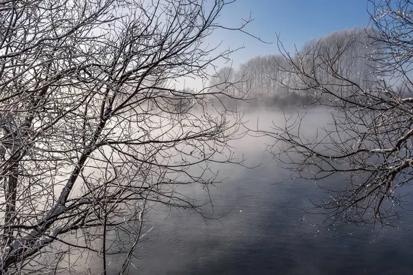 Lago nebbia alberi hoarfrost neve — Foto Stock
