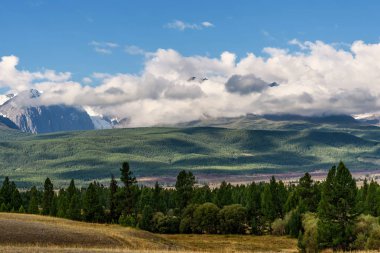 dağlar bulutlar forest hills