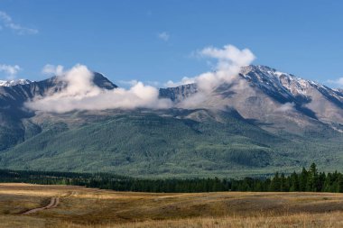 dağlar bulutlar orman yolu
