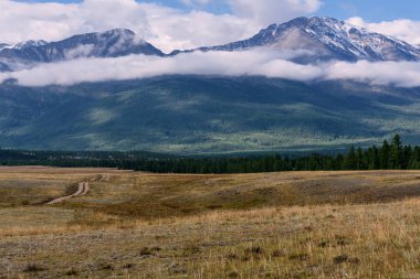 dağlar bulutlar orman yolu