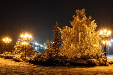 Ağaçlar hoarfrost ve kar ve kar yağışı güzel sokak ışıkları ile doğal gece kış manzara