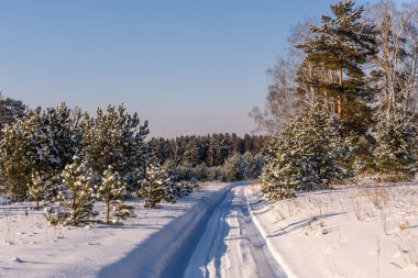 yol orman kar kış karlı