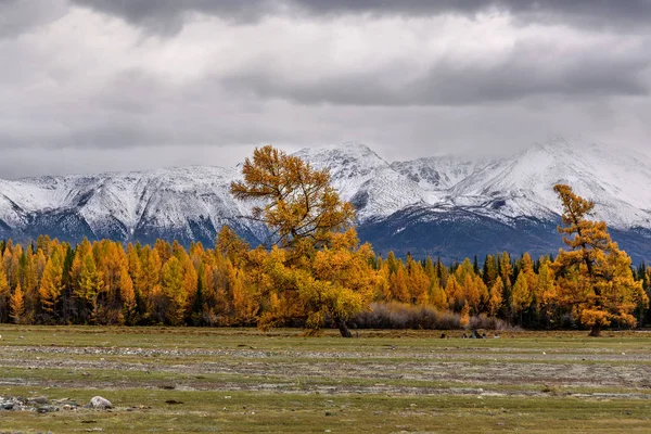 Hory podzimní les sníh — Stock fotografie
