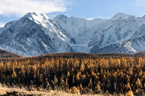 Podzim lesní sníh na horách — Stock fotografie