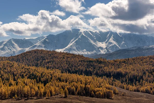 Podzim lesní sníh na horách — Stock fotografie
