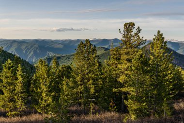 dağ cedars gökyüzü tepeler orman