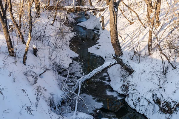 Fluss Schnee Eis Bäume Winter — Stockfoto