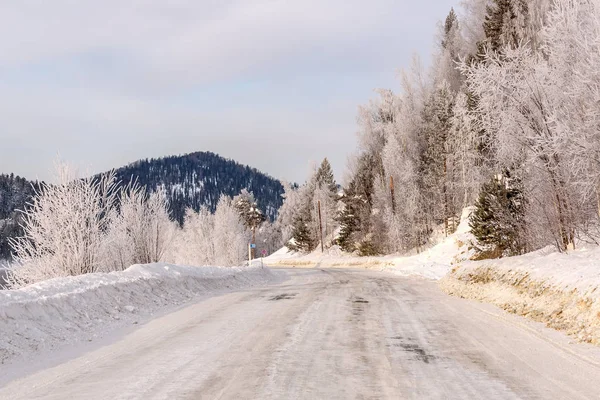 Scenic Winter View Asphalt Road Covered Snow Beautiful Trees Frost — Stock Photo, Image