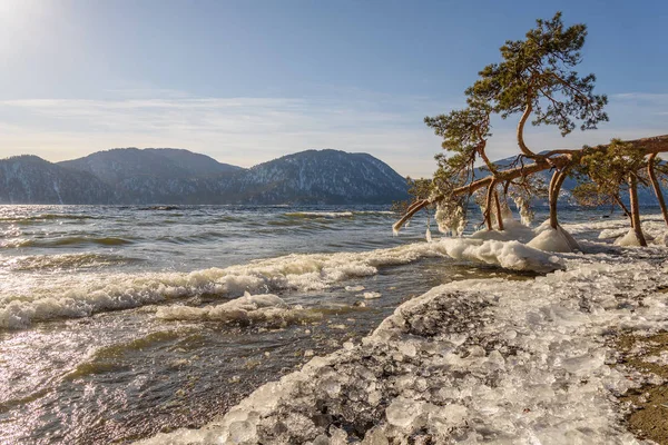 mountain lake pine ice wave