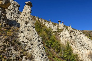 dağlar taşlar mantar sonbahar